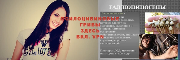 ALPHA PVP Белокуриха