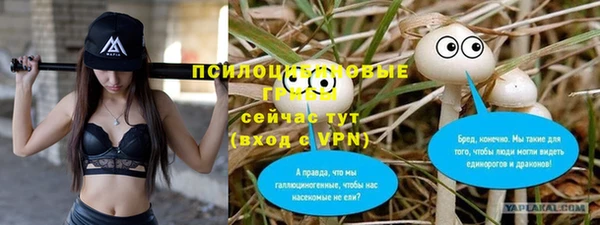 ALPHA PVP Белокуриха